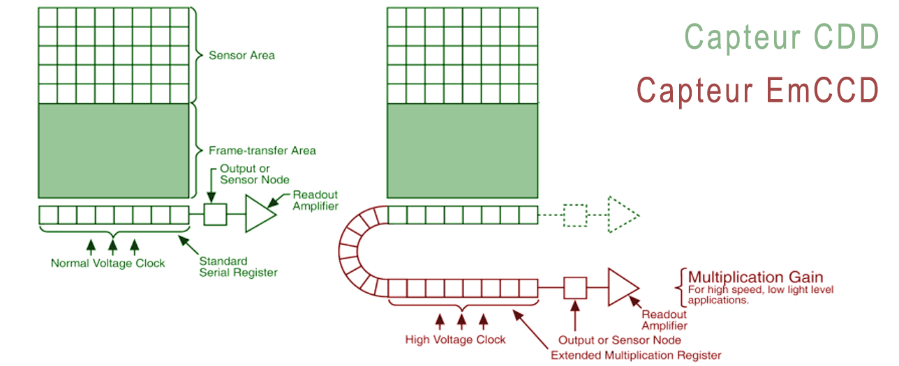 Fonctionnement des Capteurs CCD vs Capteurs emCCD