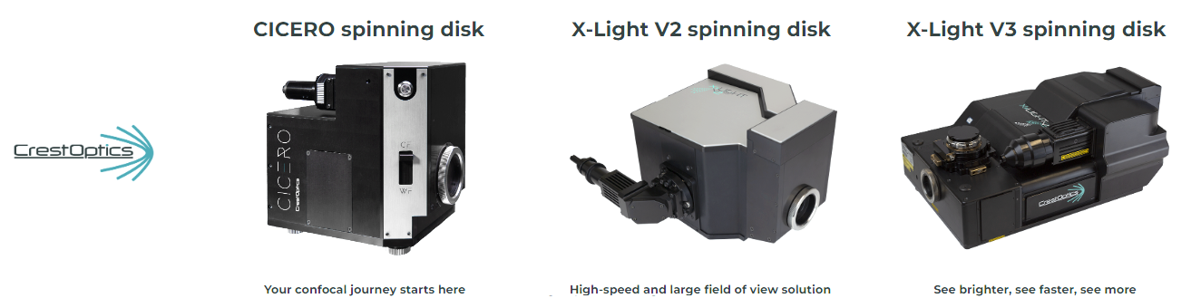 Solutions spinning disk CrestOptics