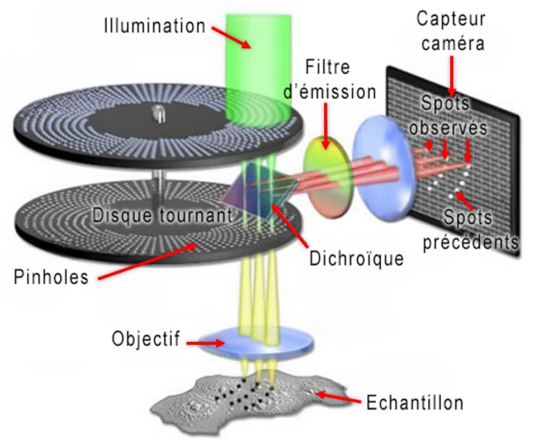 Principe de fonctionnement d'un spinning disk