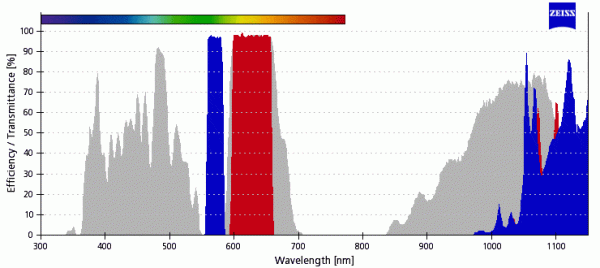 ZEISS Filterset 63HE Alexa 568