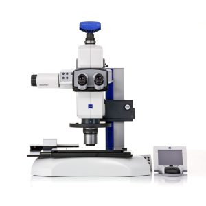 ZEISS AxioZoom v16 avec son module Apotome pour les sections optiques en fluorescence