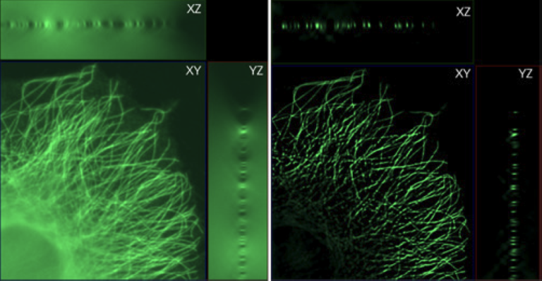 Déconvolution Image brute en projection avec flou à gauche vs déconvoluée à droite