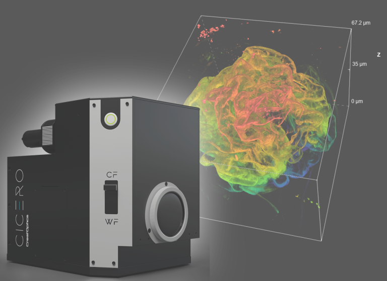 Solutions 3D Lordil