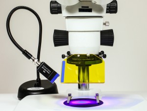 Module déporté pour la fluorescence avec loupe binoculaire