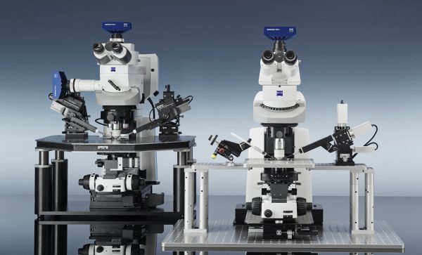 Expériences d'électrophysiologiques réalisées avec le microscope à platine fixe ZEISS Axio Examiner