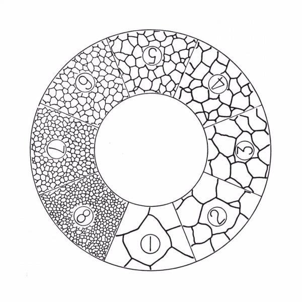 Réticule normé ASTM pour une évaluation visuelle rapide de taille de grains