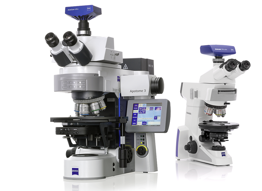 Microscopes droits