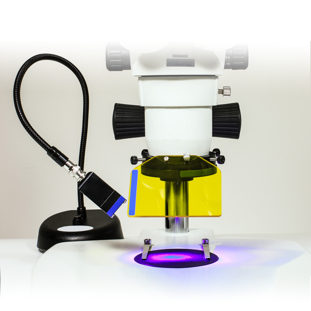 Source LED déportée pour la fluorescence en stéréo microscopie