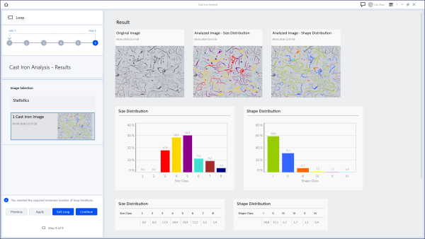 Interface du logiciel de métallographie ZEN Core pour l'analyse de fonte - Cast Iron