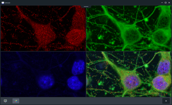 ZEISS Labscope Module Multichannel Fluorescence vue des Canaux