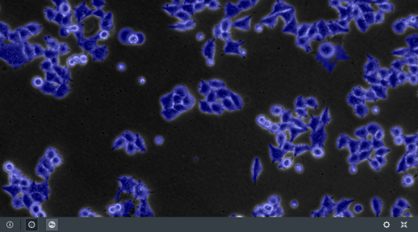 ZEISS Labscope Module BioApp Confluence par IA