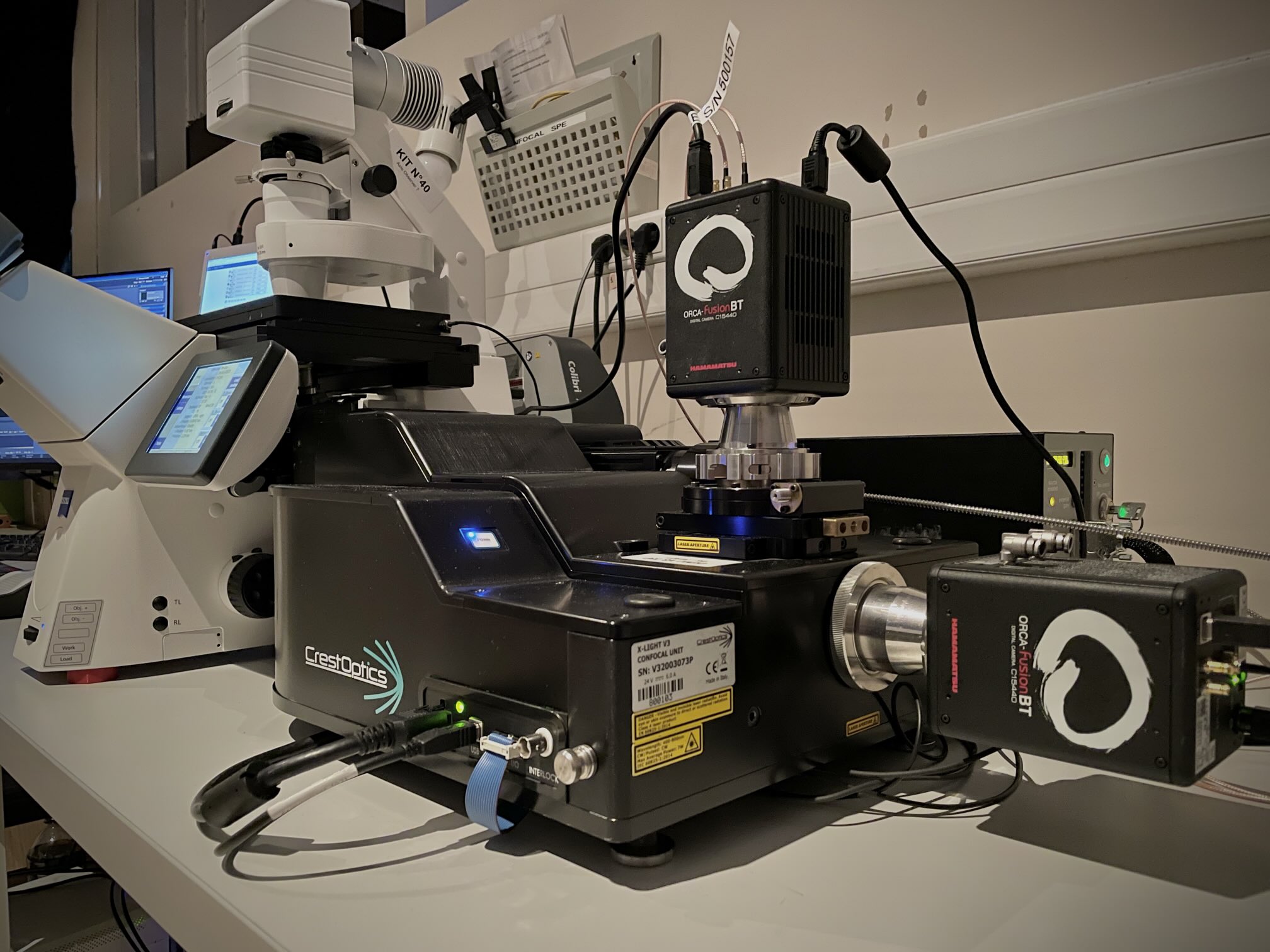 Spinning disk X-light V3 sur microscope ZEISS